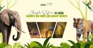 jungle safari in India