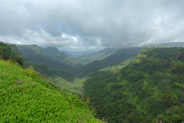 Amboli