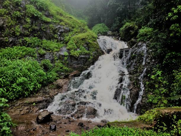 Amboli Waterfall
